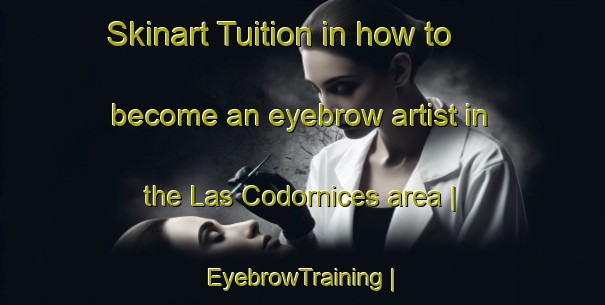 Skinart Tuition in how to become an eyebrow artist in the Las Codornices area | EyebrowTraining | EyebrowClasses | SkinartTraining-Mexico